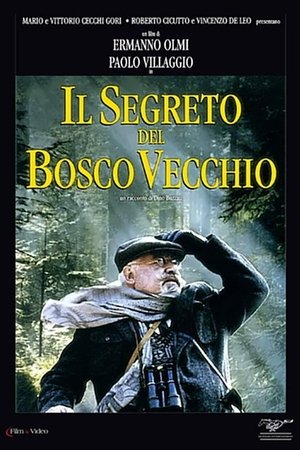 Watch Free Il segreto del bosco vecchio (1993)
