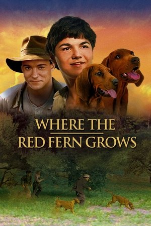 Watch Free Where the Red Fern Grows (2003)
