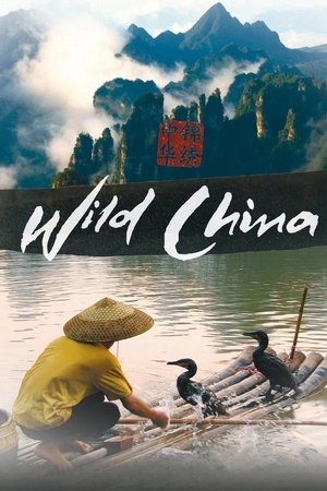 Watch Free Wild China (2008 )
