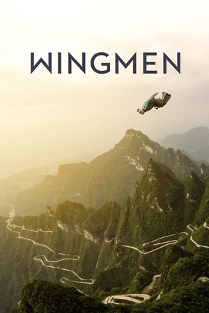 Watch Free Wingmen (2015)