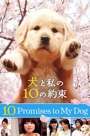 Watch Free 10 Promises to My Dog (2008)