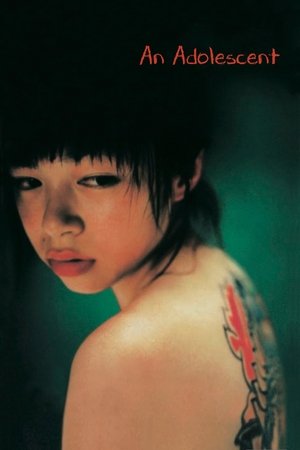 Watch Free An Adolescent (2001)
