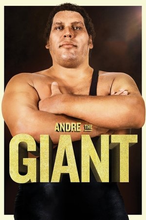 Watch Free Andre the Giant (2018)