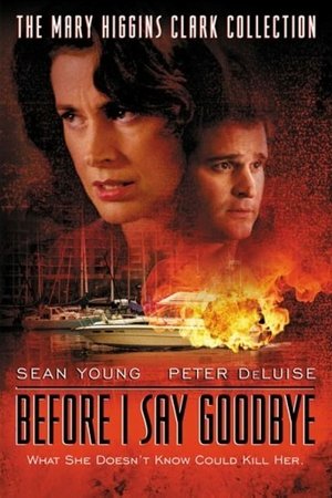 Watch Free Before I Say Goodbye (2003)