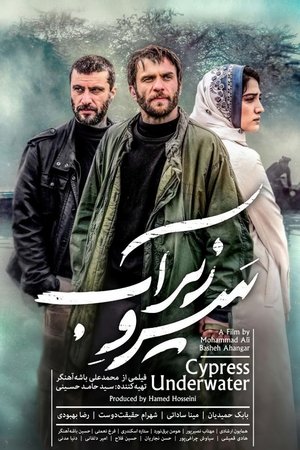 Watch Free Sarv Zire Ab (2018)