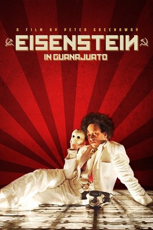 Watch Free Eisenstein in Guanajuato (2015)