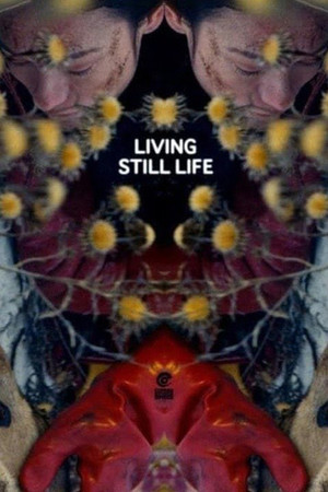 Watch Free Living Still Life (2012)