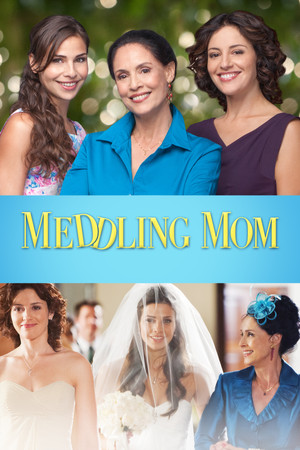 Watch Free Meddling Mom (2013)