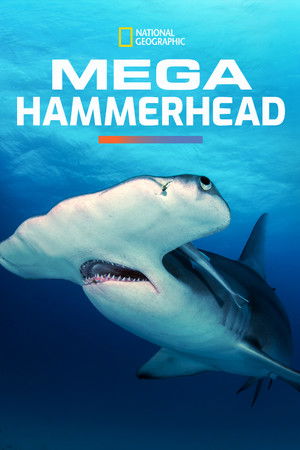 Watch Free Mega Hammerhead (2016)