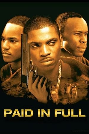 Watch Free Paid in Full 2002