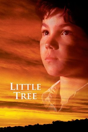 Watch Free The Education of Little Tree (1997)