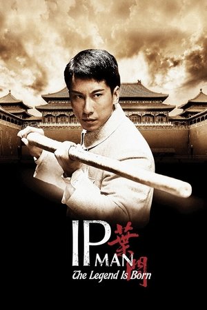 Watch Free The Legend Is Born: Ip Man (2010)