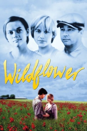 Watch Free Wildflower (1991)