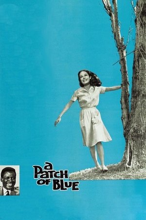 Watch Free A Patch of Blue (1965)