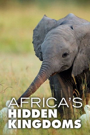 Watch Free Africas Hidden Kingdoms (2015-2020)