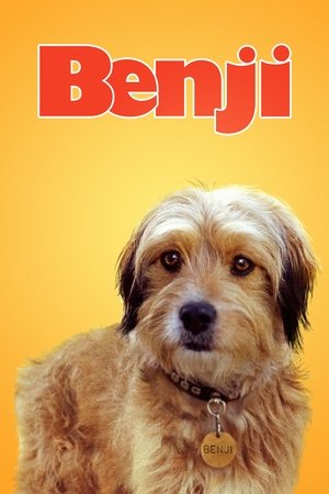 Watch Free Benji (1974)