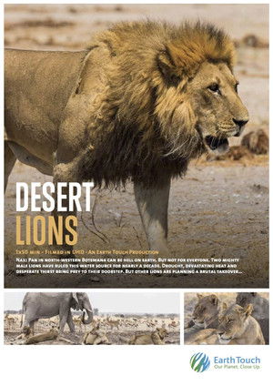 Watch Full Movie: Desert Lions (2017)
