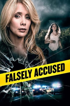 Watch Free Falsely Accused (2016)