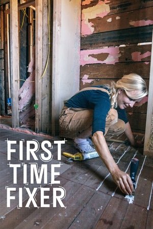 Watch Free First Time Fixer (2021-)