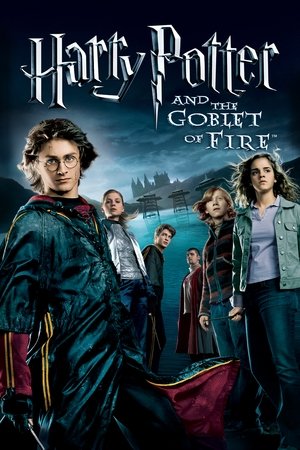 Watch Free Harry Potter And The Goblet Of Fire 2005