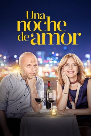 Watch Free Una noche de amor (2016)