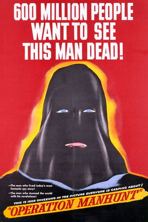 Watch Free Operation Manhunt (1954)