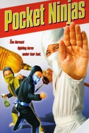 Watch Full Movie: Pocket Ninjas (1997)