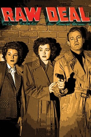 Watch Free Raw Deal (1948)