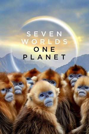 Watch Free Seven Worlds, One Planet (2019 )