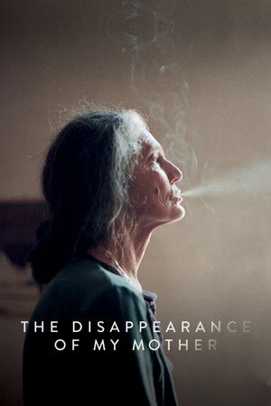 Watch Free Storia di B. La scomparsa di mia madre (2019)