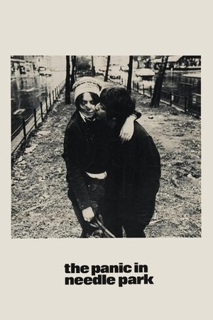 Watch Free The Panic in Needle Park (1971)