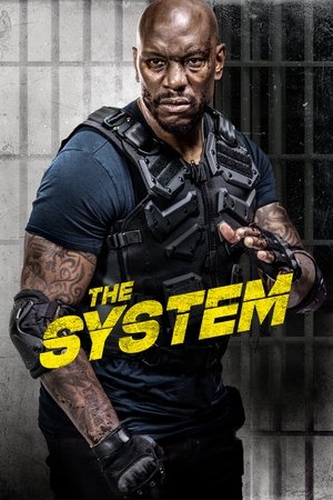 Watch Free The System (2022)