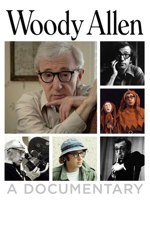Watch Free Woody Allen A Documentary (2011)