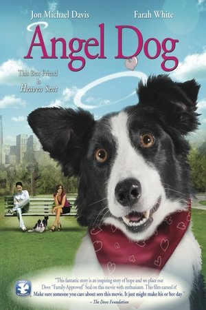 Watch Free Angel Dog (2011)