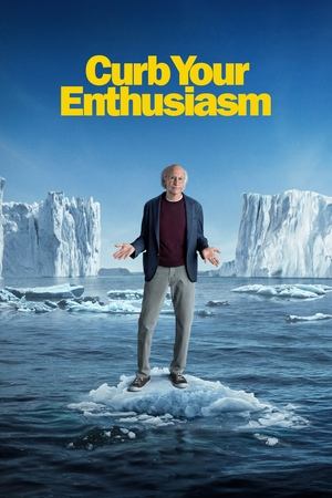 Watch Free Curb Your Enthusiasm (2000 )