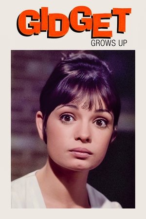 Watch Full Movie: Gidget Grows Up (1969)