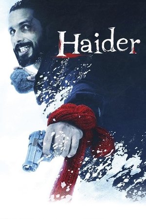 Watch Free Haider (2014)