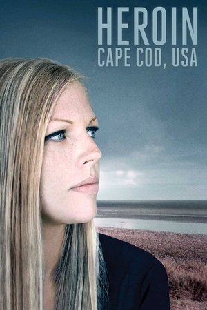 Watch Free Heroin: Cape Cod, USA (2015)