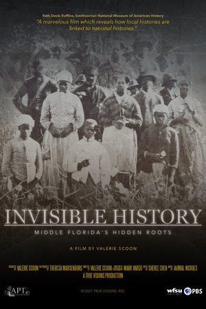 Watch Free Invisible History Middle Floridas Hidden Roots (2021)
