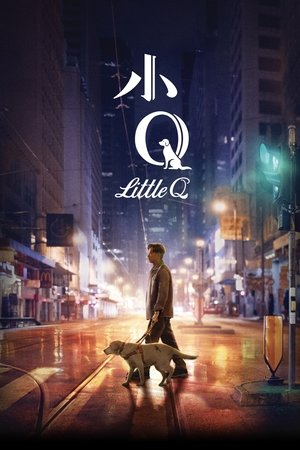 Watch Free Little Q (2019)