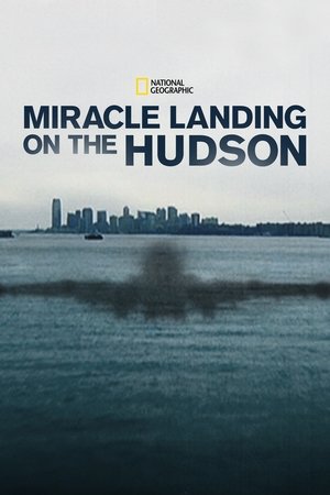 Watch Free Miracle Landing on the Hudson (2014)