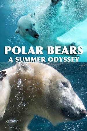 Watch Free Polar Bears: A Summer Odyssey (2012)
