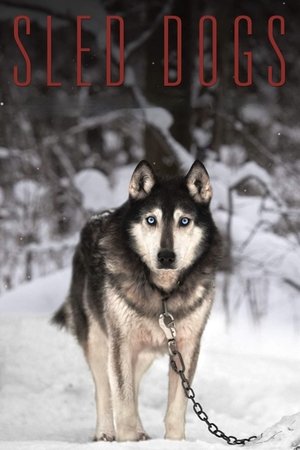 Watch Free Sled Dogs (2016)