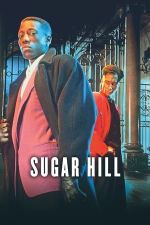 Watch Free Sugar Hill 1993