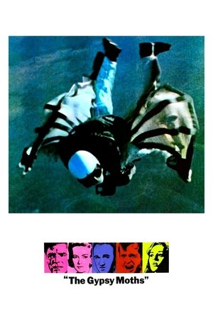 Watch Free The Gypsy Moths (1969)