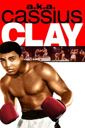 Watch Free a k a Cassius Clay (1970)