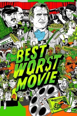 Watch Free Best Worst Movie (2009)