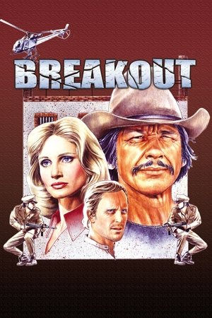 Watch Free Breakout (1975)