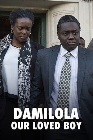 Watch Free Damilola, Our Loved Boy (2016)