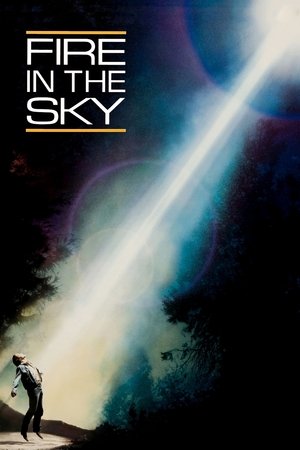 Watch Free Fire in the Sky (1993)